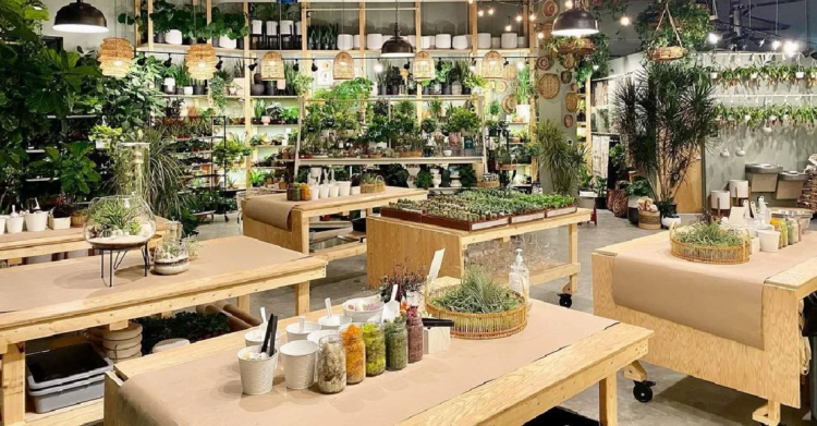 Instagram | @plantbarclt