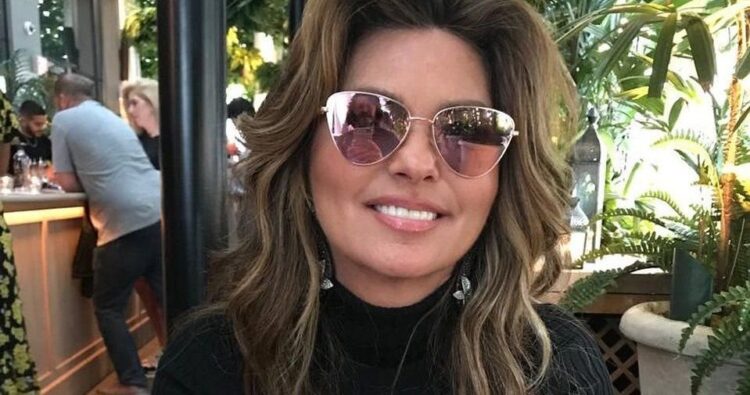 Instagram | @shaniatwain