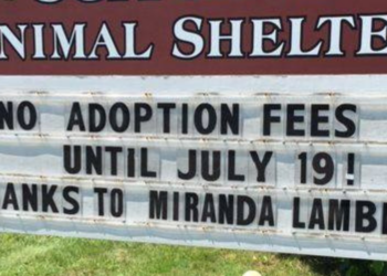 Facebook | Scituate Animal Shelter of Massachusetts