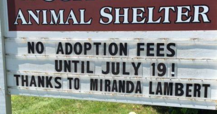Facebook | Scituate Animal Shelter of Massachusetts