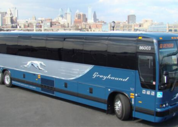 Greyhound