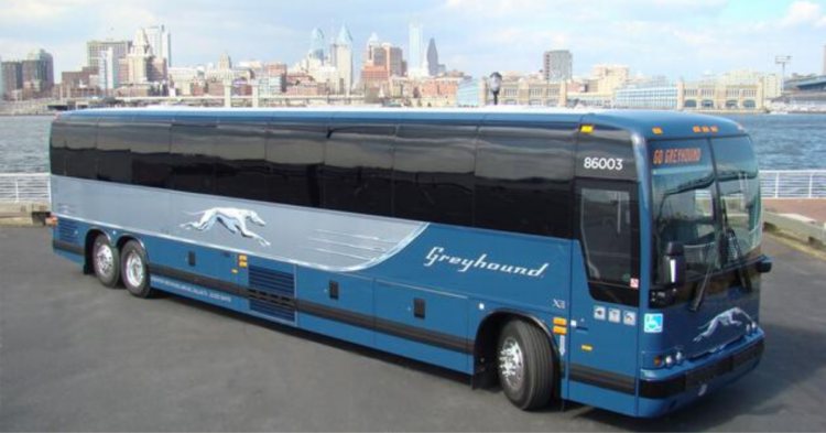 Greyhound