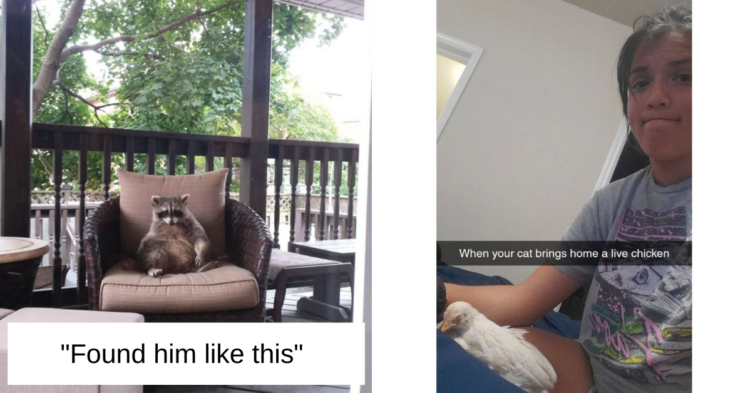 Reddit