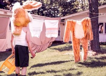 Gratisography | Ryan McGuire