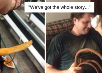 Reddit