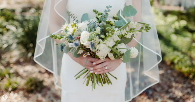 Unsplash | nikki gibson