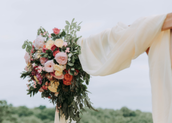 Unsplash | Samantha Gades