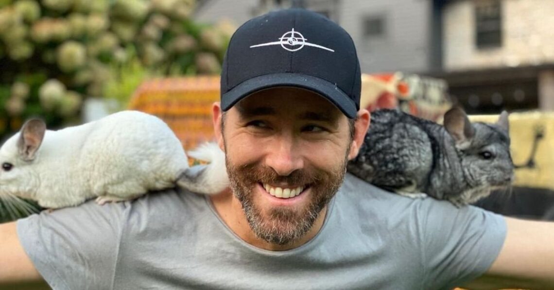 Instagram | @vancityreynolds