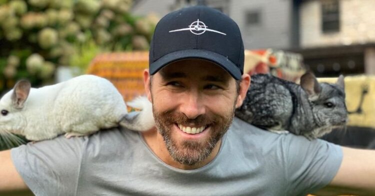 Instagram | @vancityreynolds