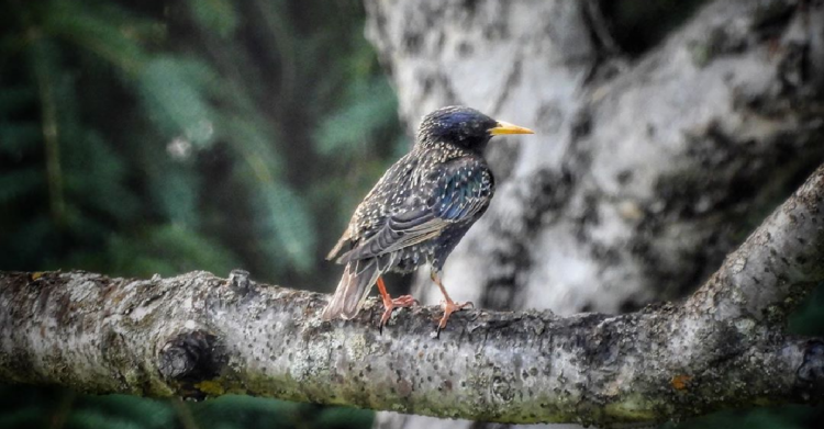 Instagram | @frederickbelin.photo