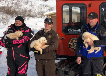 Facebook | Weber County Sheriff's Office Search and Rescue