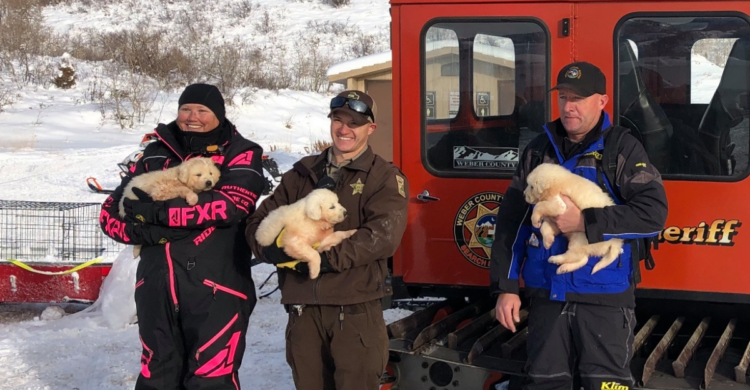 Facebook | Weber County Sheriff's Office Search and Rescue