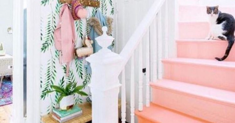Instagram | @dominomag