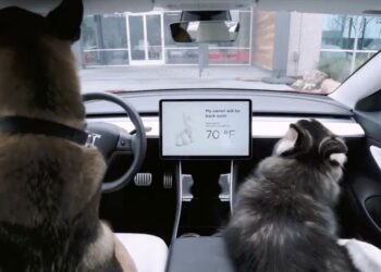 Twitter | @Tesla