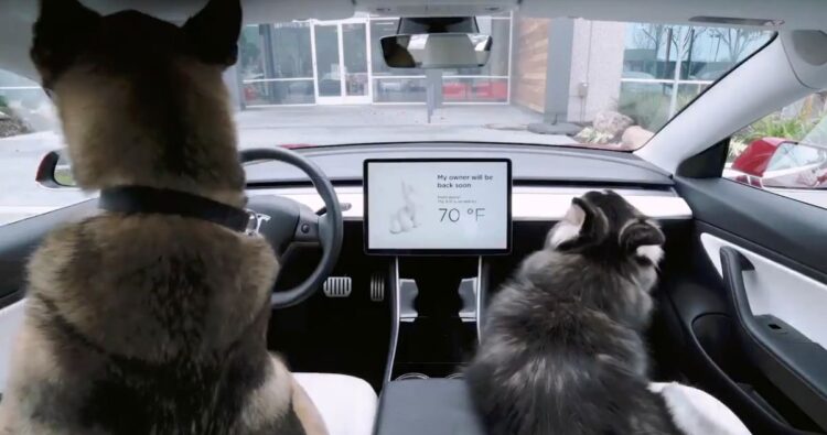 Twitter | @Tesla