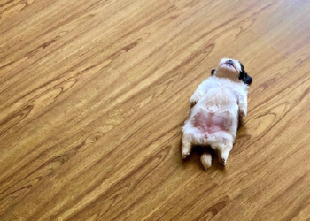 Instagram | @therealpaningning