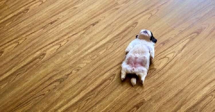 Instagram | @therealpaningning