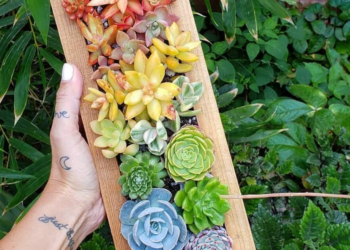 Instagram | @jenssuccs