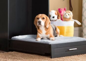 Wayfair