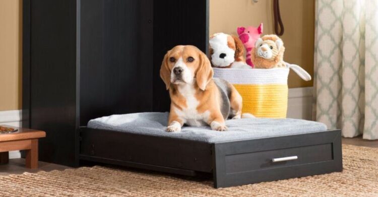 Wayfair
