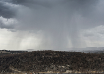 Getty Images | Brook Mitchell