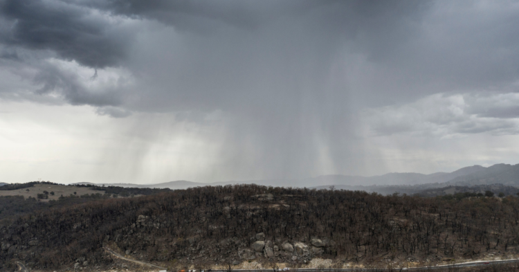 Getty Images | Brook Mitchell