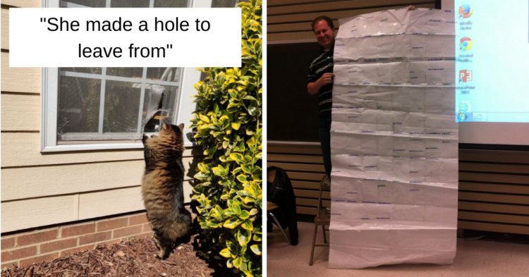 Reddit
