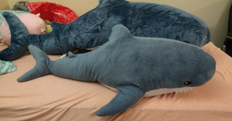 Twitter | @TeabreeShark