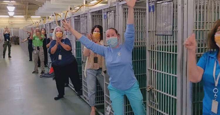 Facebook | Friends of Palm Beach County Animal Care and Control