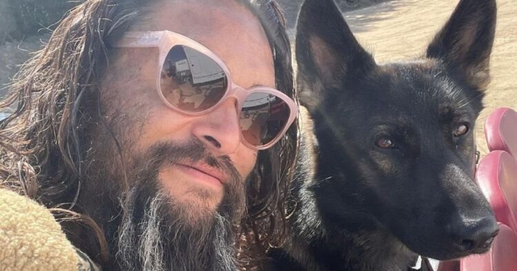 Instagram | @prideofgypsies