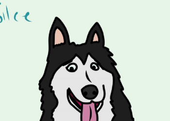 Facebook | Husky House