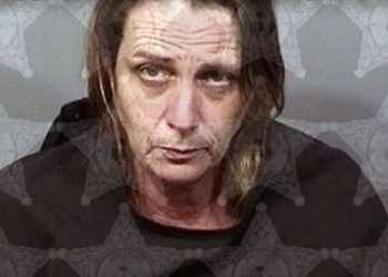 Facebook | Brevard County Sheriff's Office