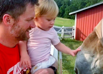 Instagram | @dalejr