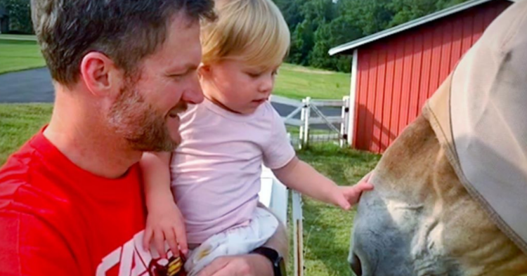 Instagram | @dalejr