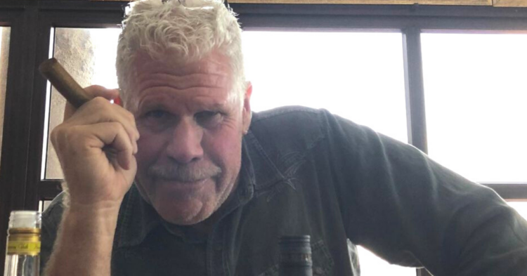 Instagram | @perlmutations