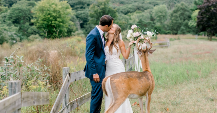 Facebook | Laurenda Marie Photography