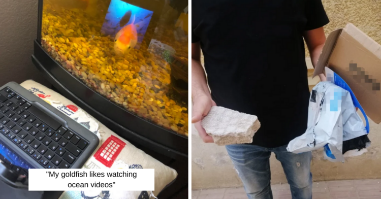 Reddit