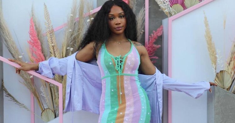 Instagram | @sza