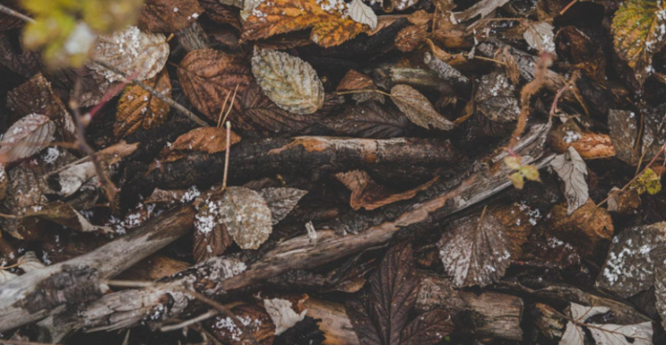 Unsplash