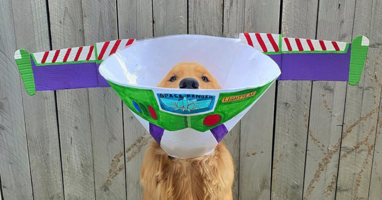 Instagram | @goldenfinnanigans