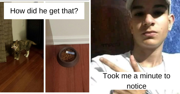Reddit