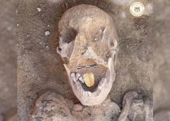 Egyptian Ministry of Tourism and Antiquities