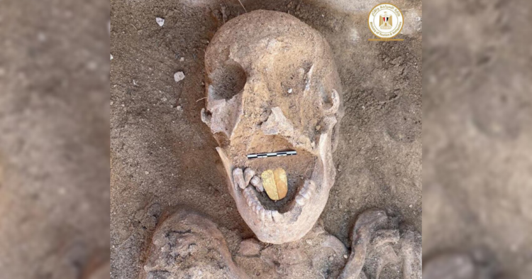 Egyptian Ministry of Tourism and Antiquities