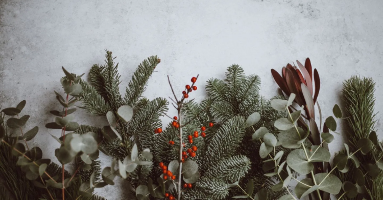 Unsplash
