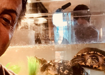Instagram | officialslystallone