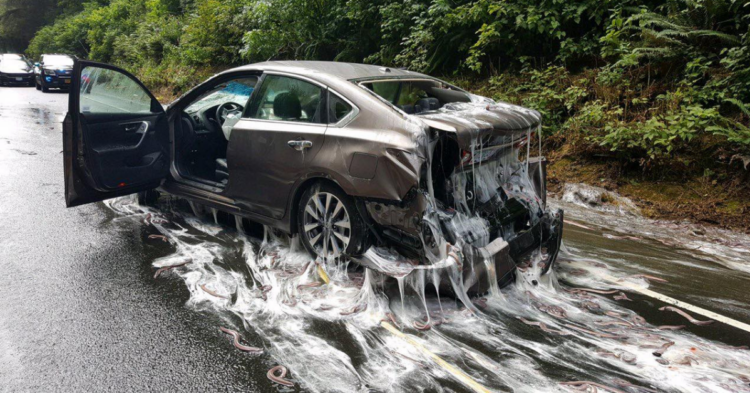 Facebook | Oregon State Police