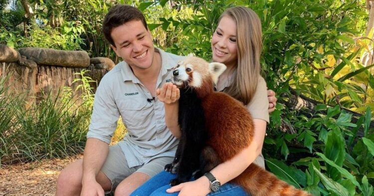 Instagram | @bindisueirwin