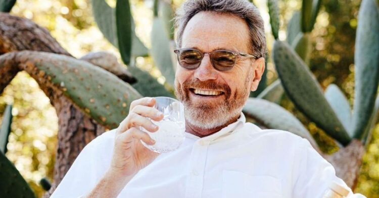 Instagram | @bryancranston