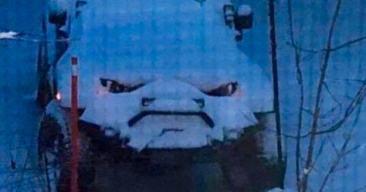 Reddit | Melty_McDonald