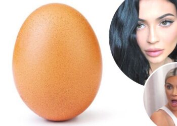 Instagram | @world_record_egg